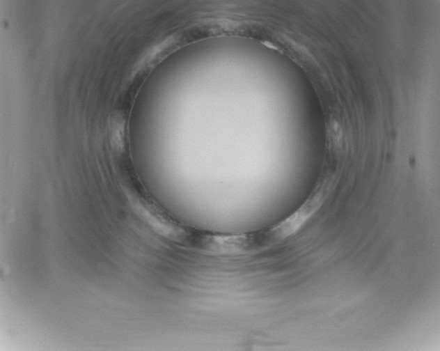 X0000060560188200511241300