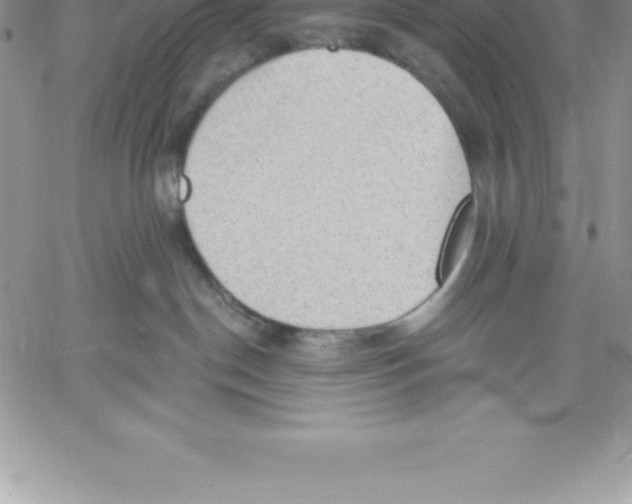 X0000060560190200511241300
