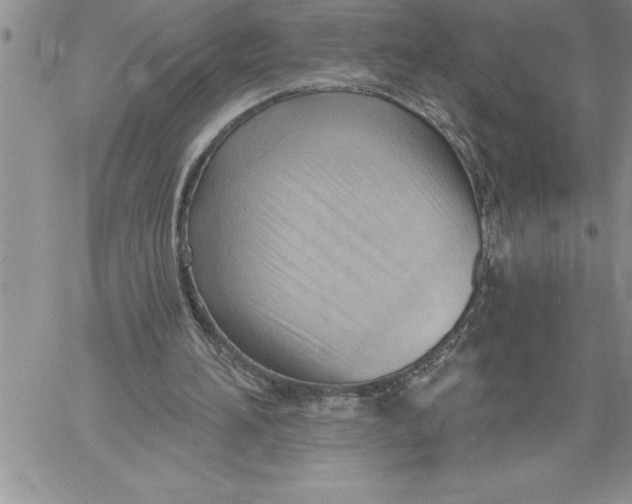 X0000060560196200511241259