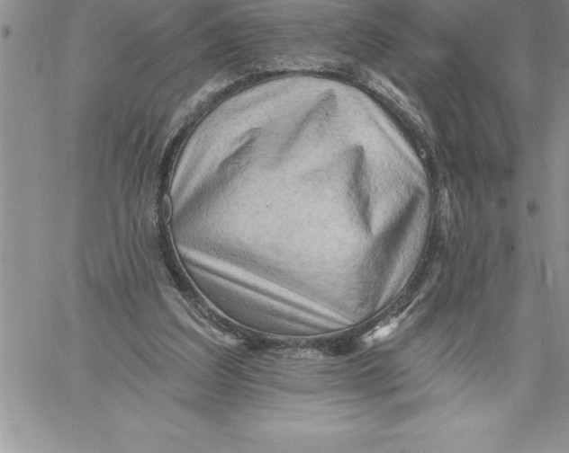 X0000060560203200511241259