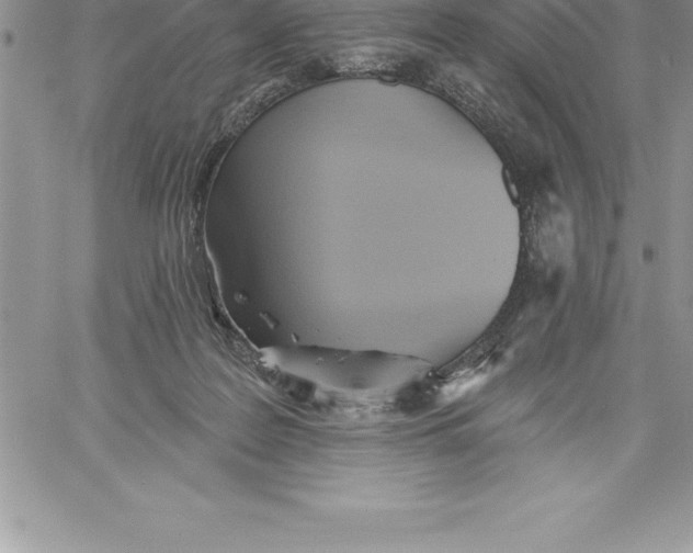 X0000060560219200511241259
