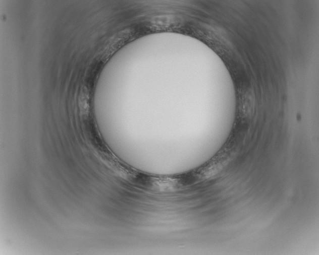 X0000060560226200511241259