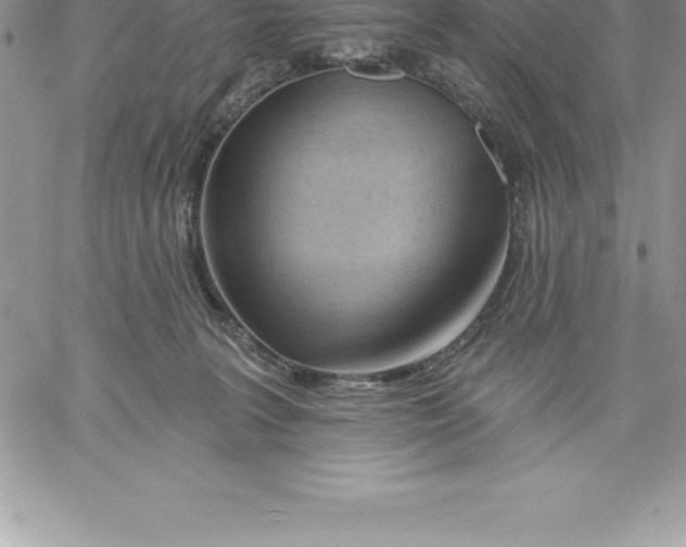 X0000060560227200511241259