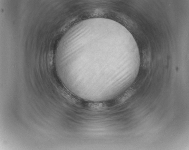 X0000060560230200511241259