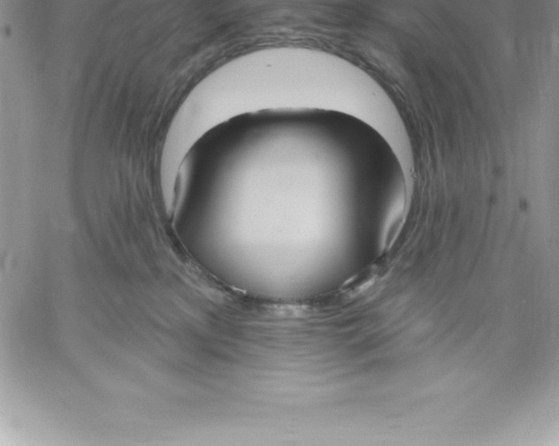 X0000060560233200511241259