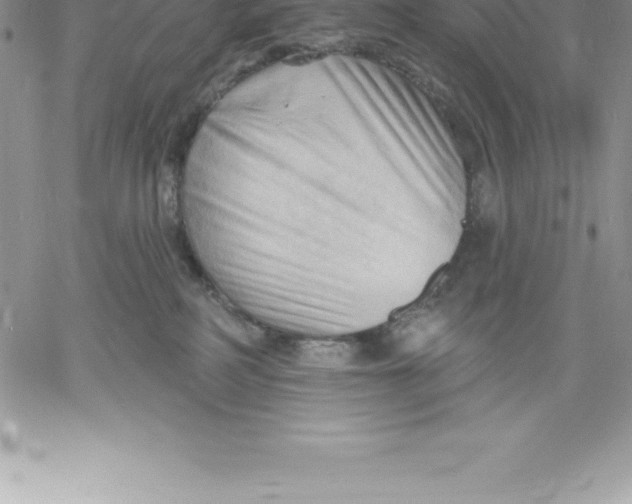 X0000060560234200511241259