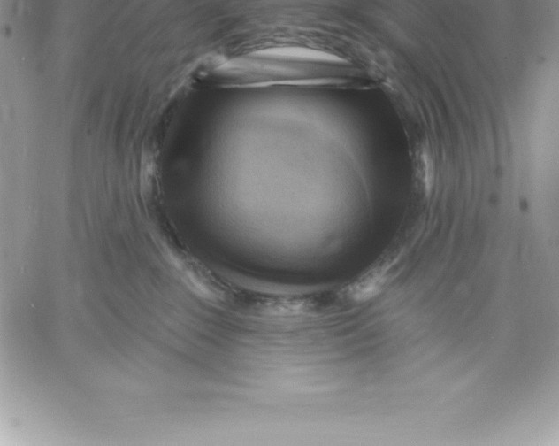 X0000060560235200511241259