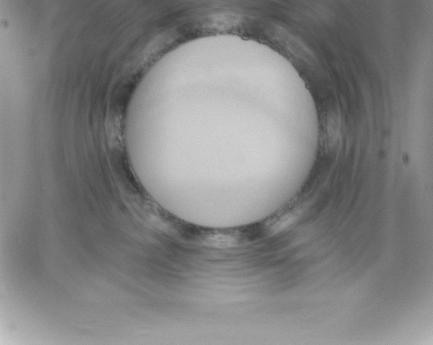 X0000060560236200511241259