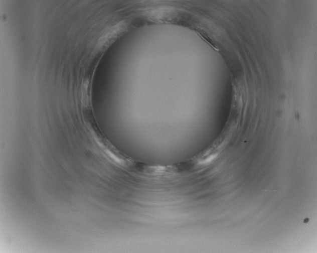 X0000060560239200511241259