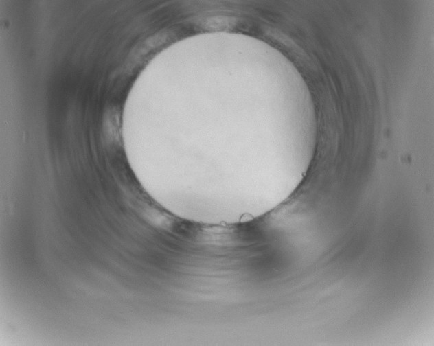 X0000060560240200511241259