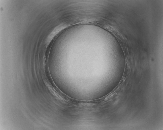 X0000060560242200511241258