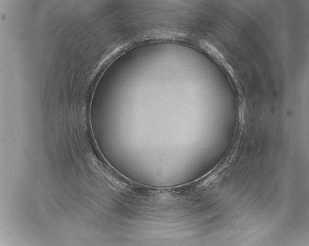 X0000060560249200511241258