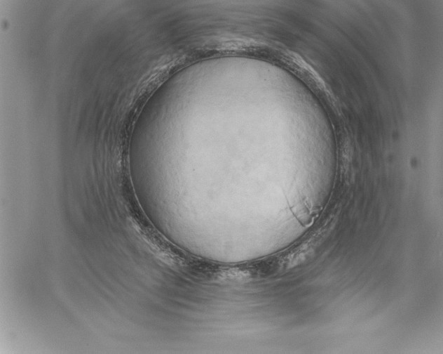 X0000060560257200511241258