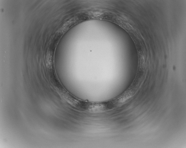 X0000060560274200511241258