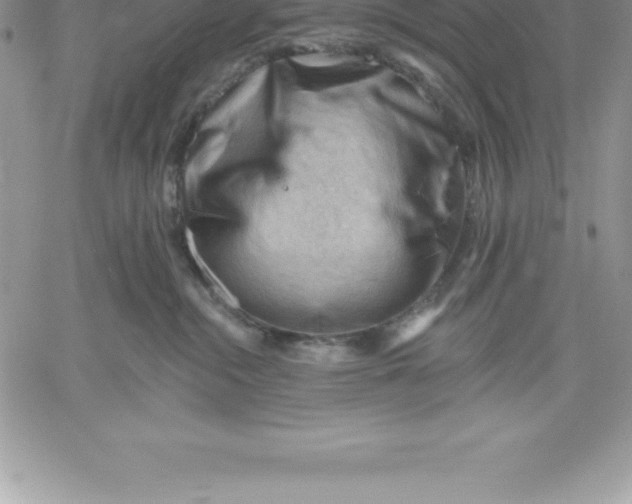 X0000060560284200511241259