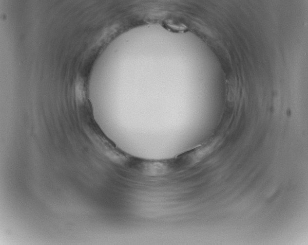 X0000060560287200511241259
