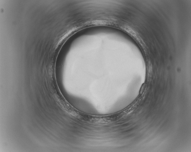 X0000060560297200511241258