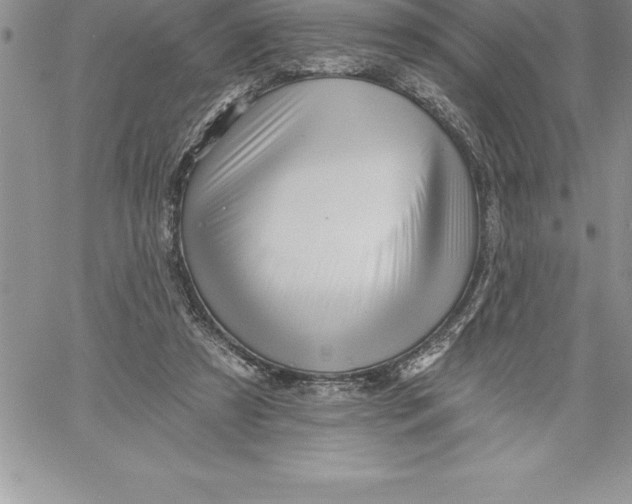 X0000060560305200511241258
