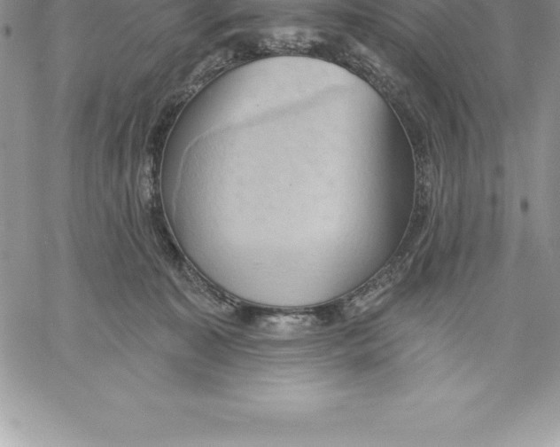 X0000060560323200511241257