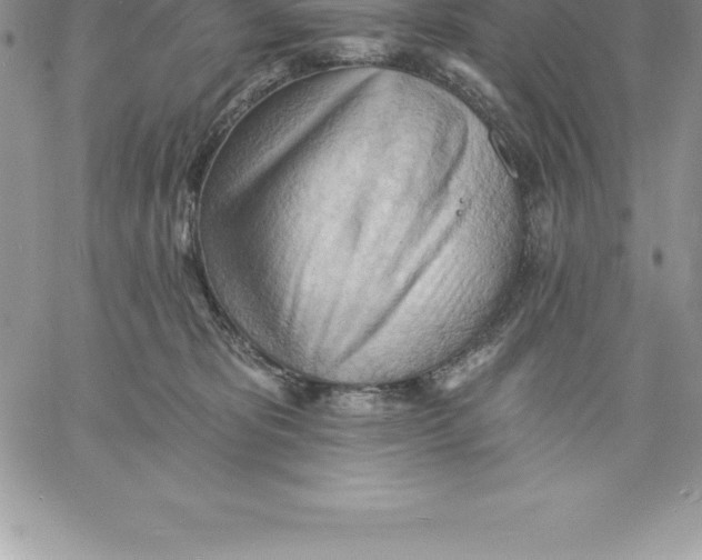 X0000060560325200511241257