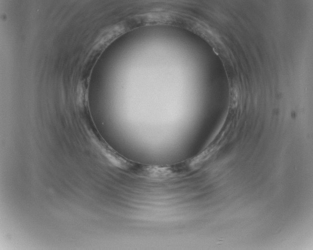 X0000060560333200511241257