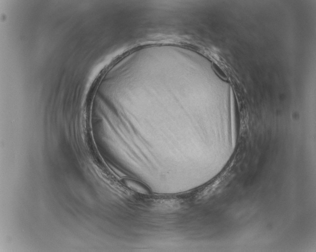 X0000060560342200511241256
