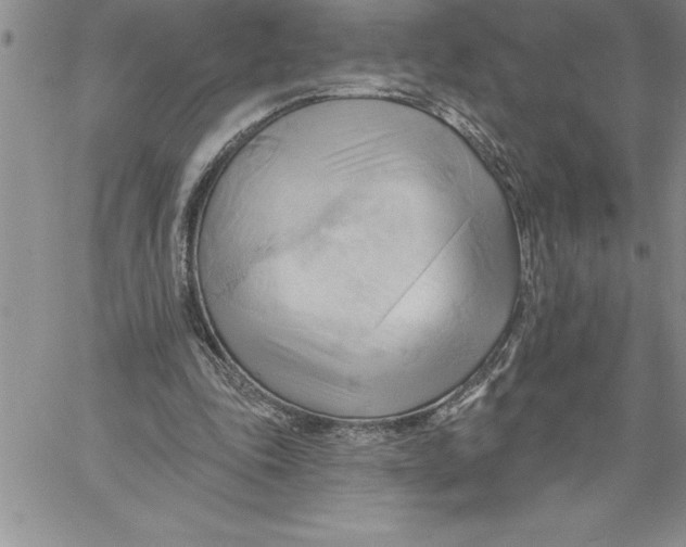 X0000060560343200511241256