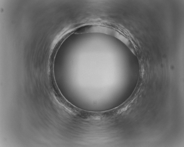 X0000060560344200511241256