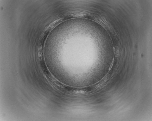 X0000060560360200511241257