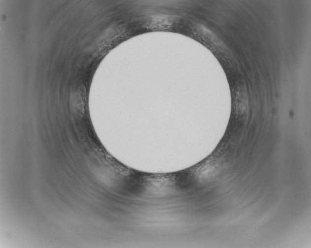 X0000060560370200511241257