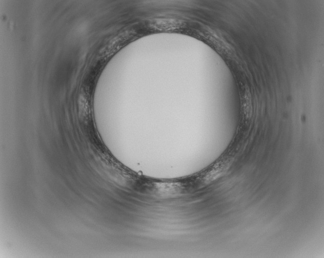 X0000060560371200511241257