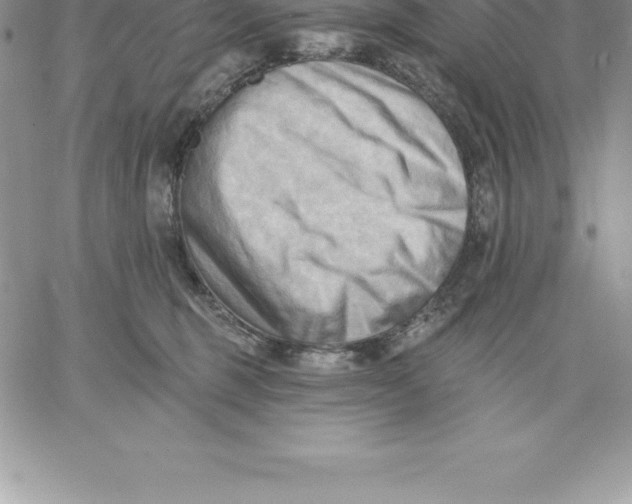 X0000060560375200511241257