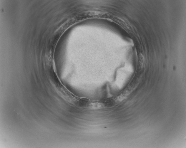 X0000060560376200511241257