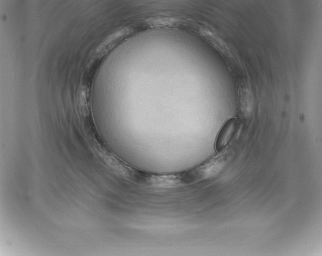 X0000060560378200511241257