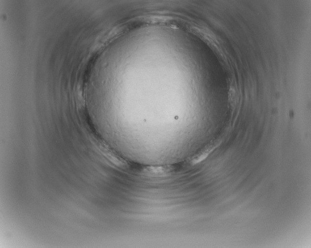 X0000060560381200511241257