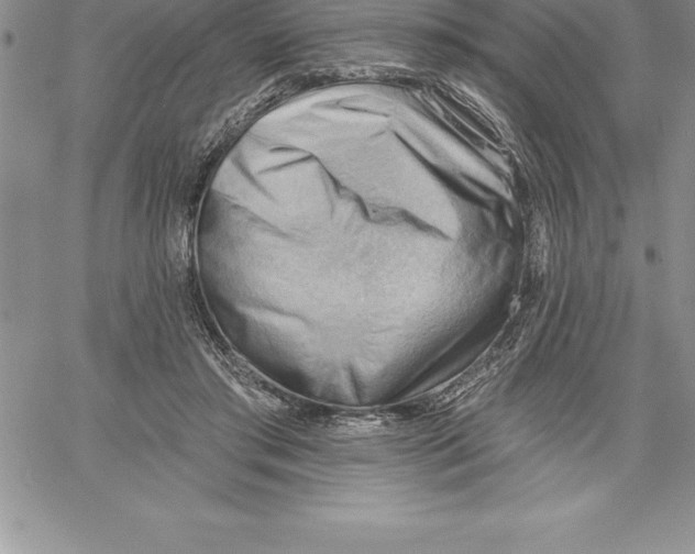 X0000060560405200511241256