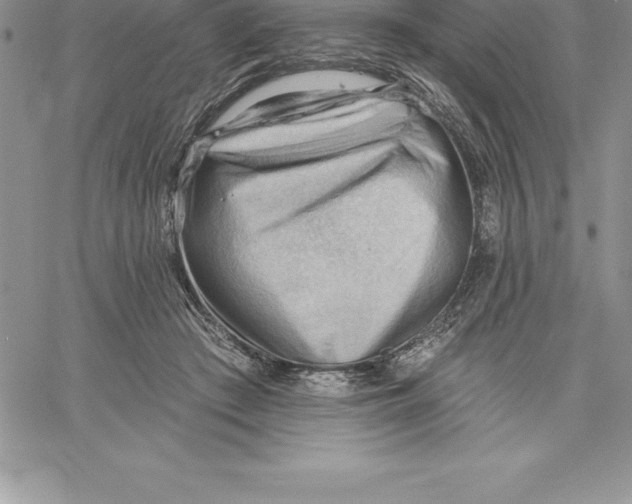 X0000060560409200511241256