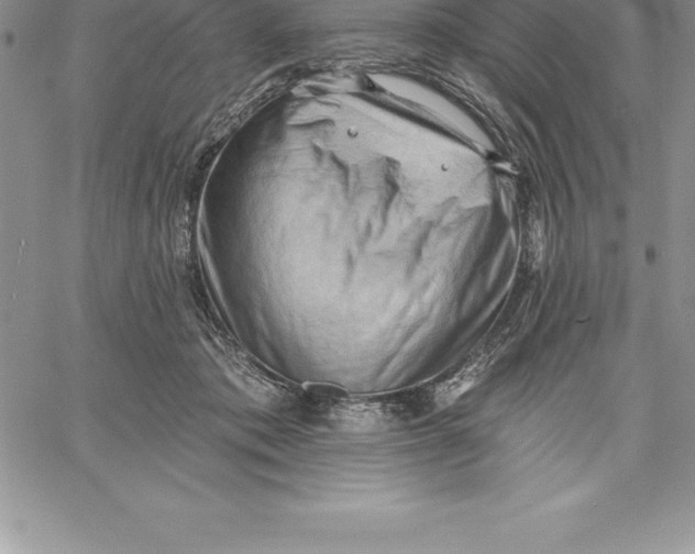 X0000060560413200511241256