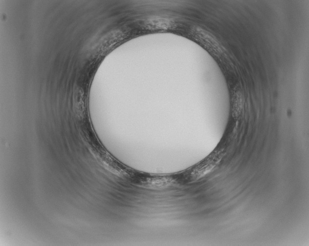 X0000060560414200511241256