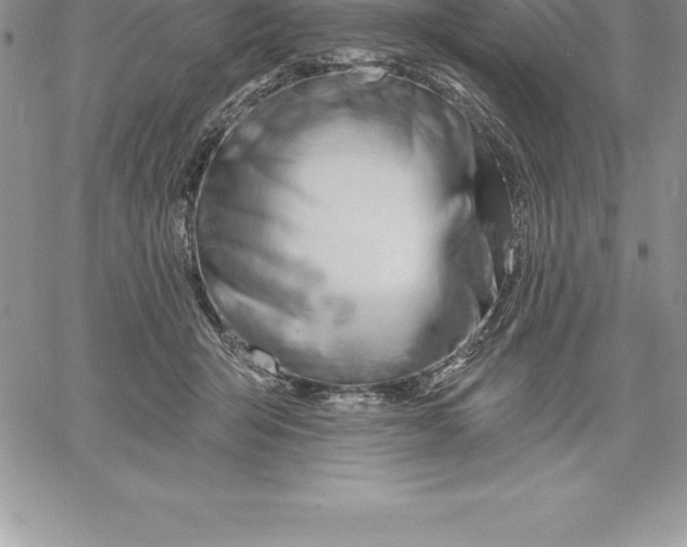 X0000060560415200511241256