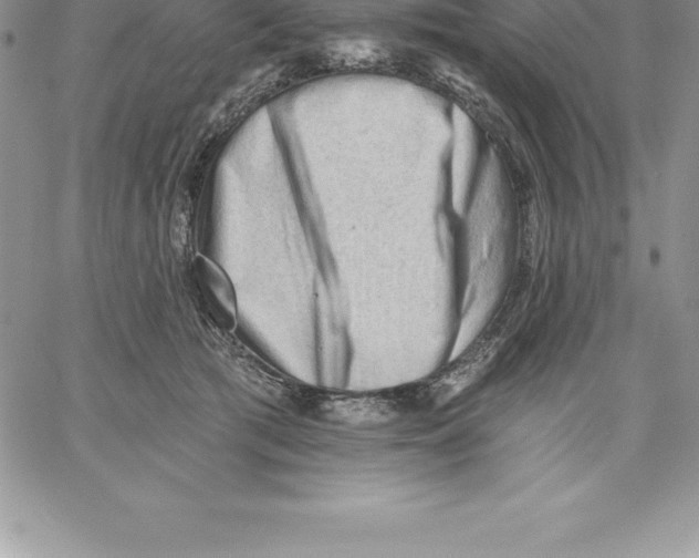 X0000060560417200511241256