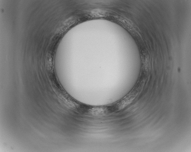 X0000060560418200511241256