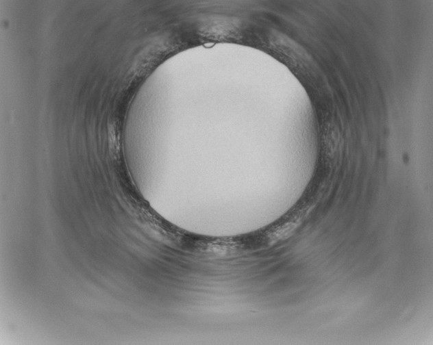 X0000060560420200511241256