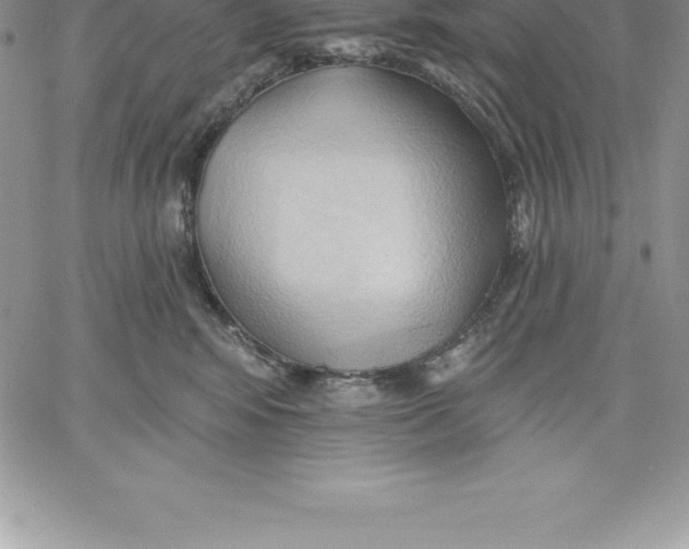X0000060560424200511241256
