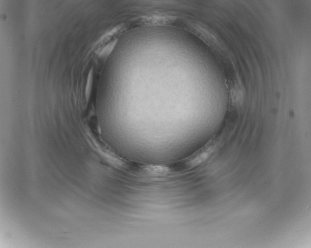 X0000060560429200511241255