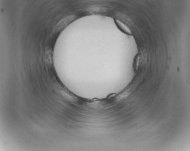 X0000060560430200511241255