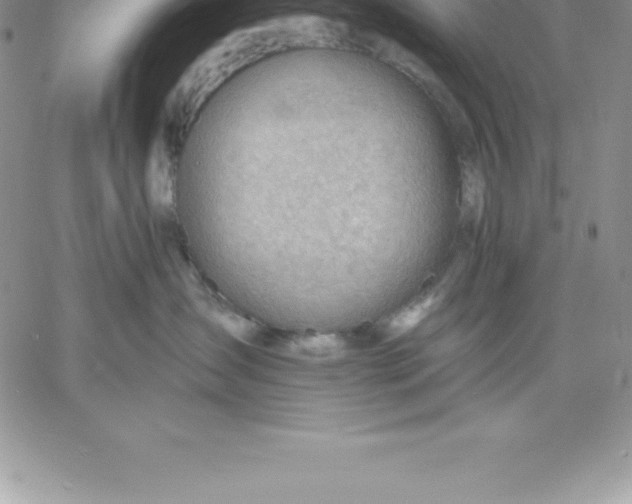X0000060560431200511241255