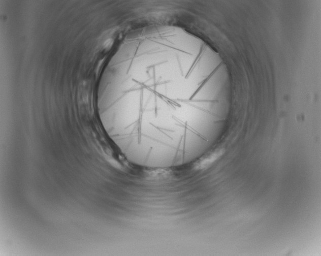 X0000060560432200511241255