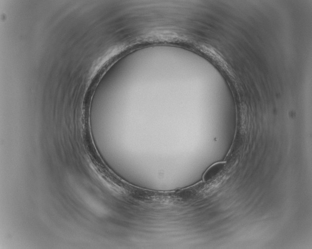 X0000060560439200511241255