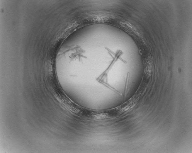 X0000060560456200511241255